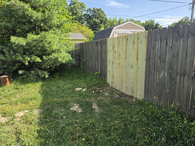 New wood privacy fence along a backyard