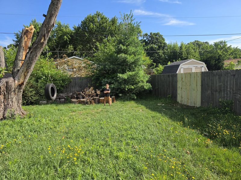 After: Storm-downed tree cleared & yard reset