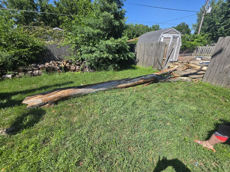 Before: Storm-downed tree cleared & yard reset